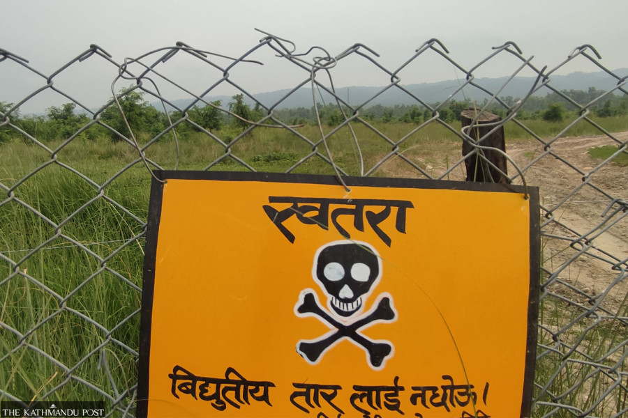 High-voltage electric fences turn Chitwan farmlands into death traps