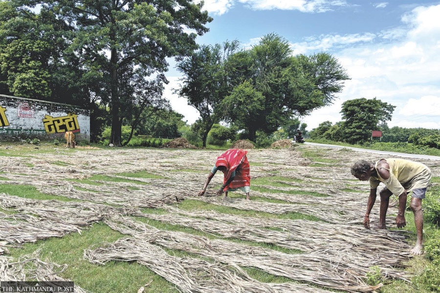 Nepal’s jute industry survives on imports