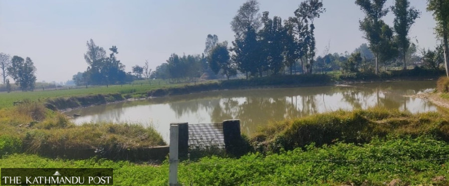 Dhangadhi invests Rs15 million to restore ponds to tackle water shortage
