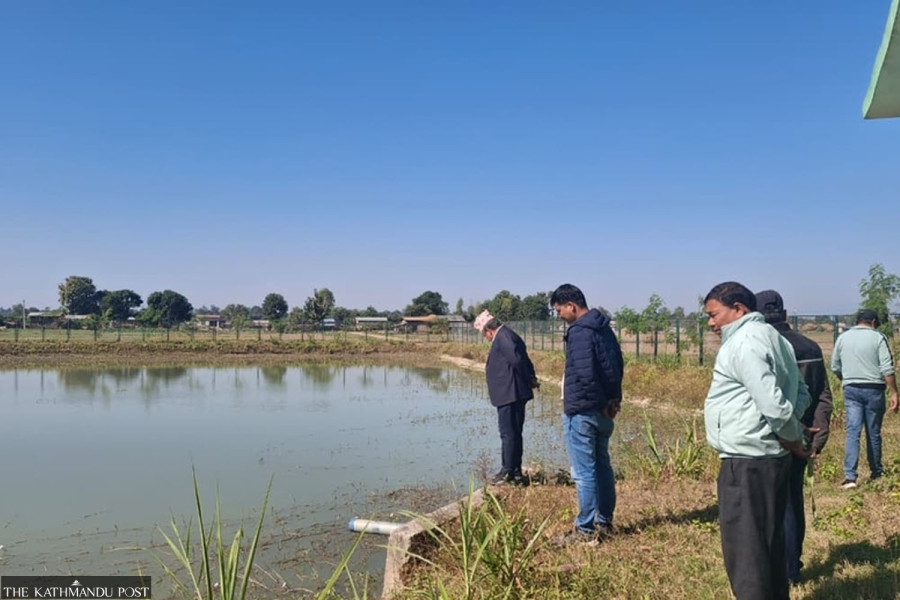 Dhangadhi invests Rs15 million to restore ponds to tackle water shortage