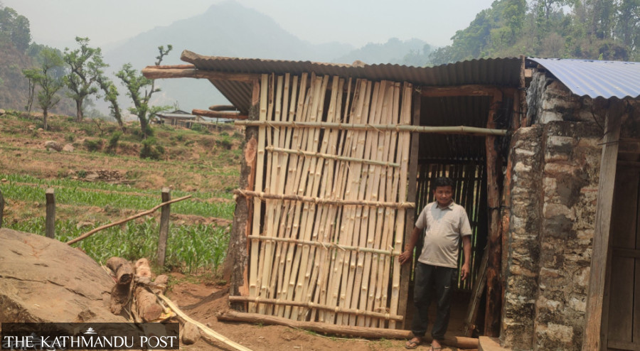 Realising bamboo’s potential