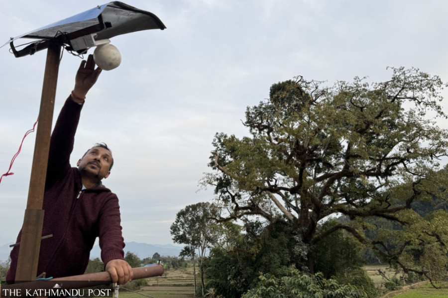 CCTV camera monitors critically endangered vultures in Kaski