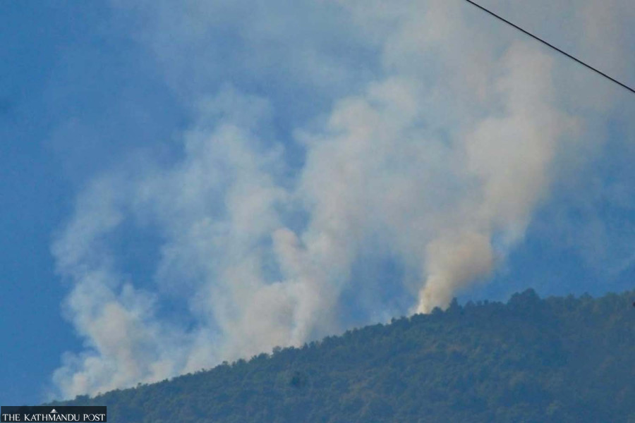 Wildfire ravages forest in Chandragiri