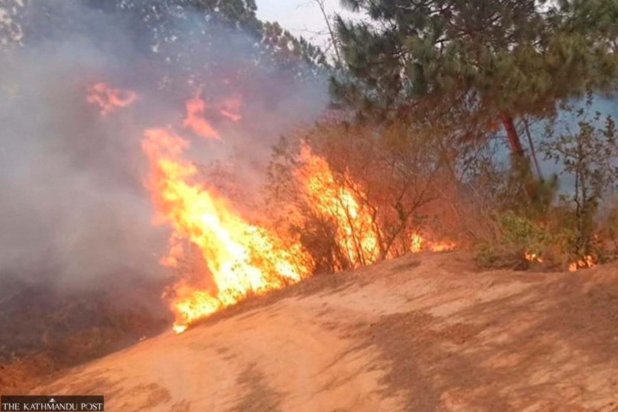 Wildfires kill three people, injure four in Panchthar and Palpa