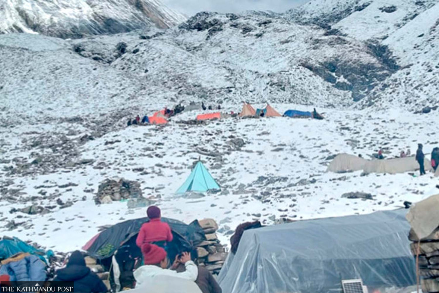 Yarsagumba collectors face mounting dangers and dwindling income