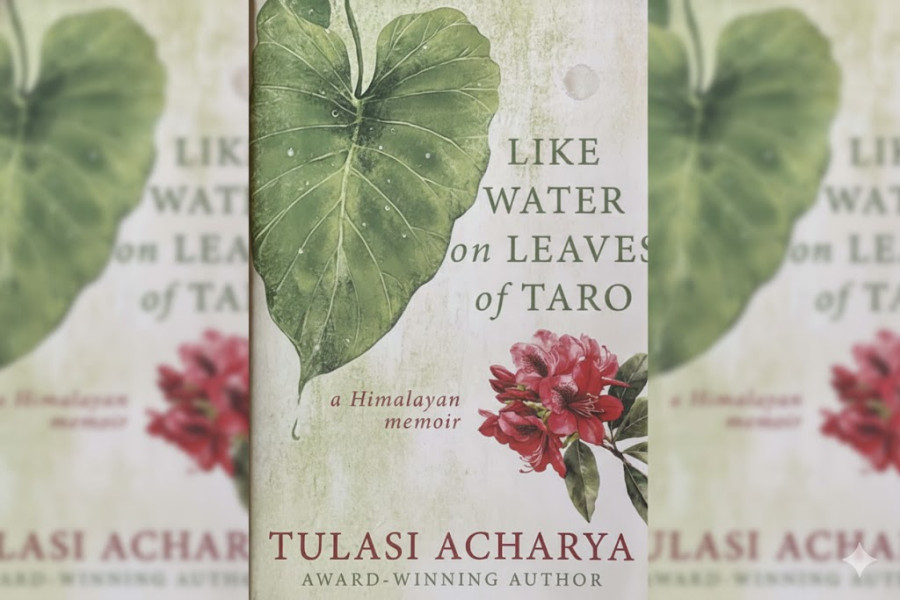 Capturing life’s fragility