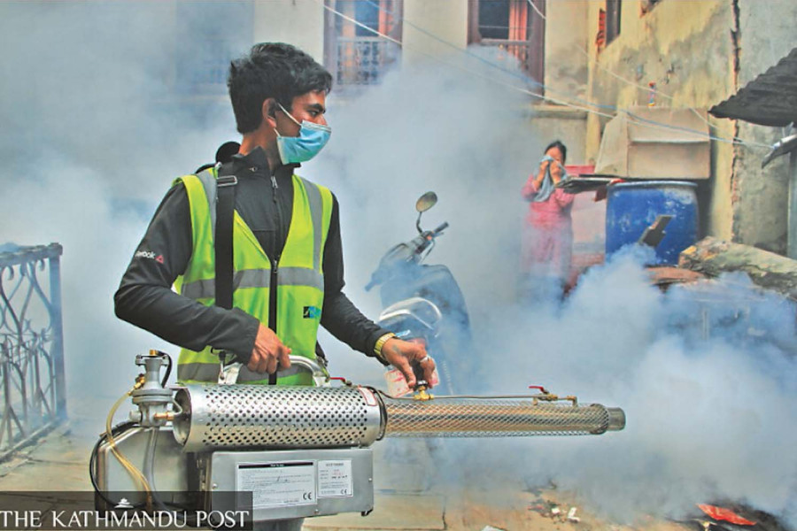 Kathmandu local units told to step up dengue search-and-destroy drive