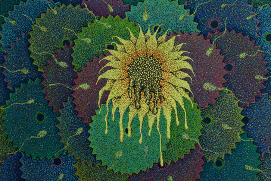 From nature to silence