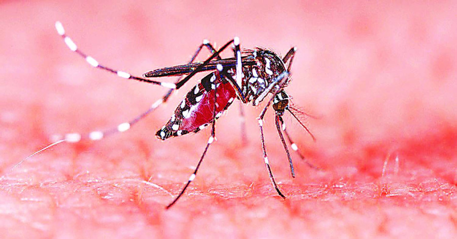 Dengue hits most mountain districts before monsoon sets in