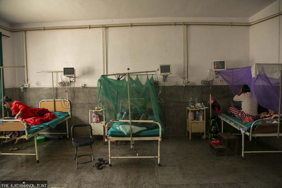 Dengue cases down, but virus widespread across Nepal