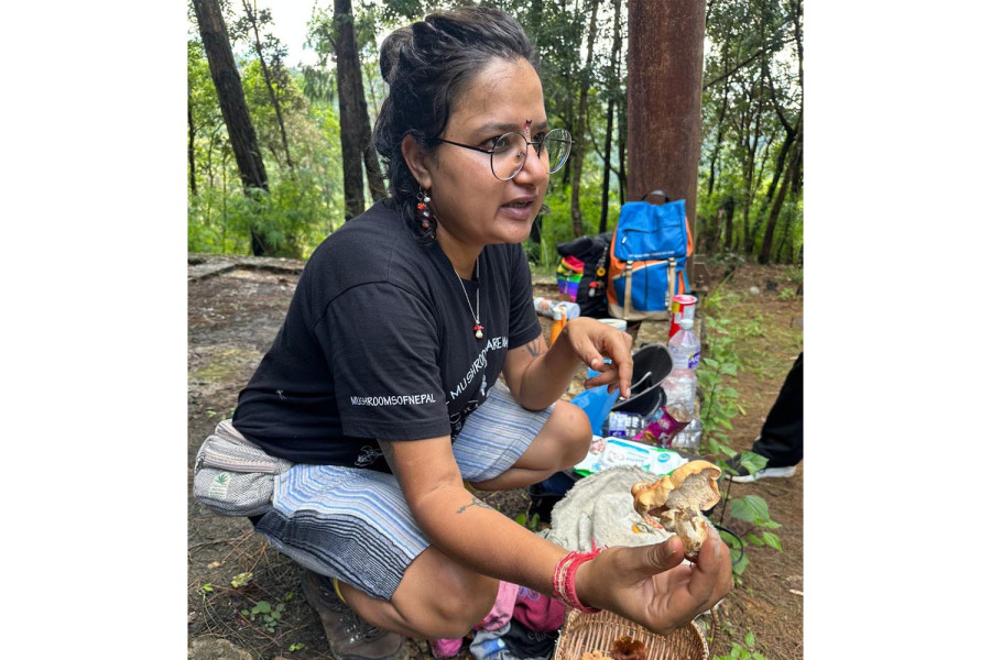 In search of mushrooms across Nepal