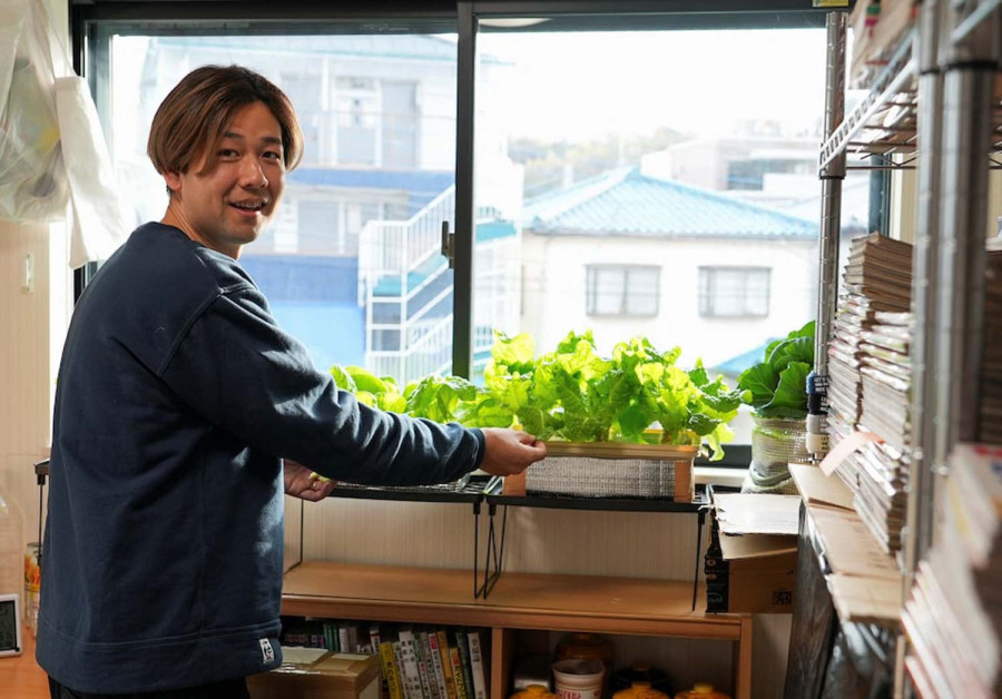 Homegrown veg, cheap substitutes: Japanese get creative to fight soaring food prices
