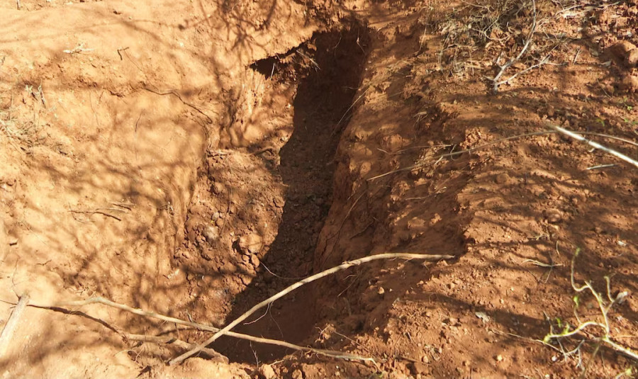 Kenya exhumes 32 bodies as outcry grows over starvation cult deaths