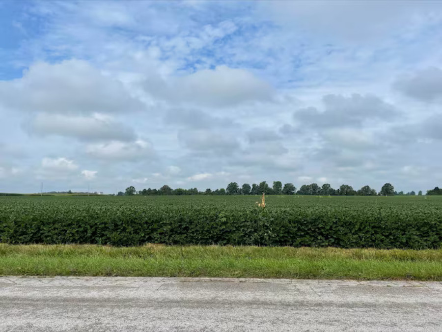 Trump urges China to quadruple soybean orders