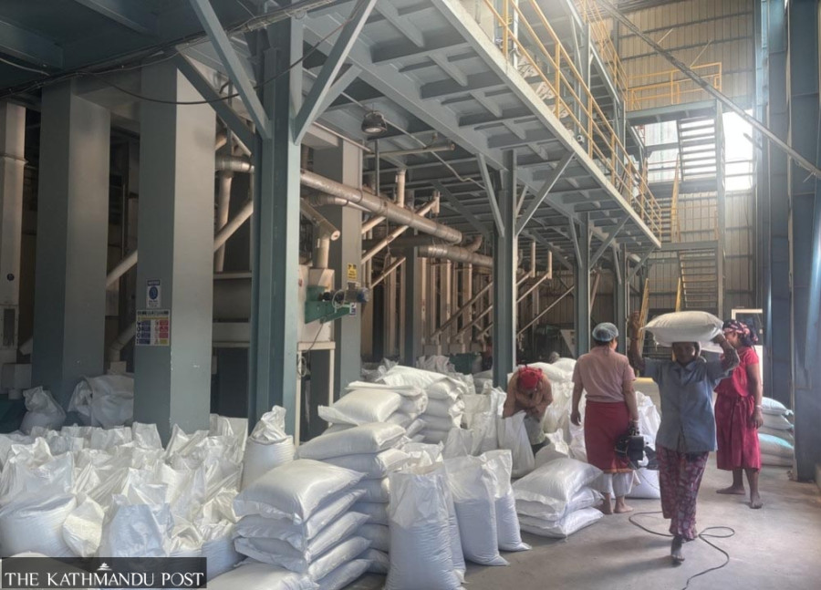 Morang farmers get above-government support price for spring paddy