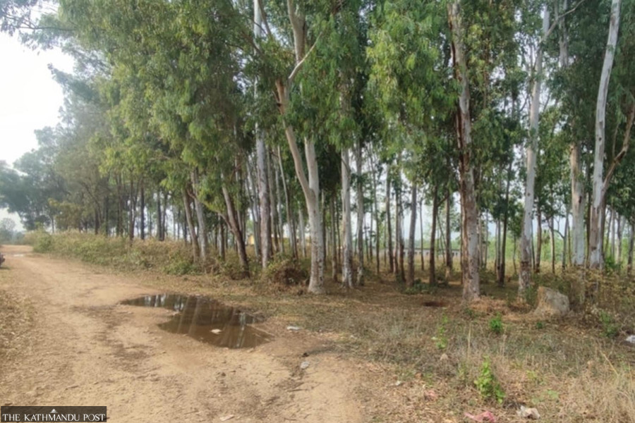 Bagmati Province finally gets land for administrative complex