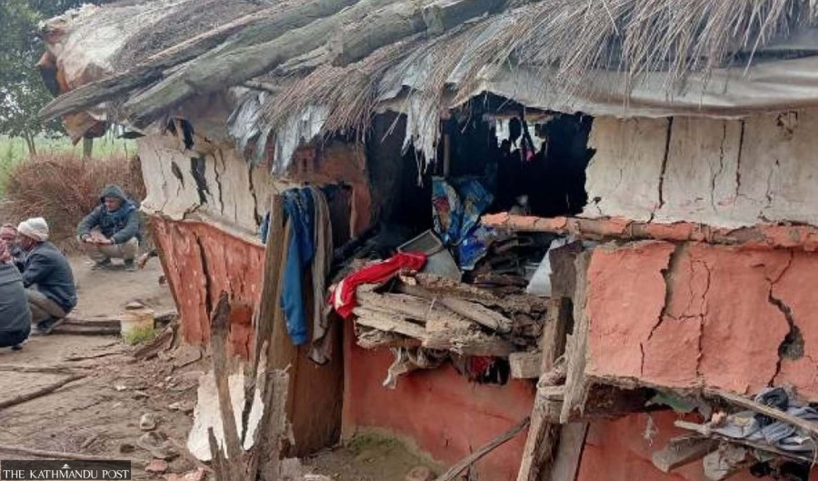 Displaced and on the edge of forests, displaced families face daily threats from wildlife