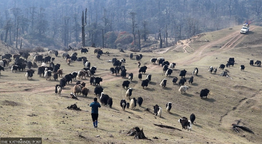 Taplenjung Chauri farmers demand resumption of trade with Tibet
