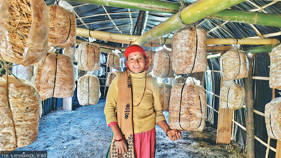 Billions spent but little to show for Karnali’s organic agriculture drive