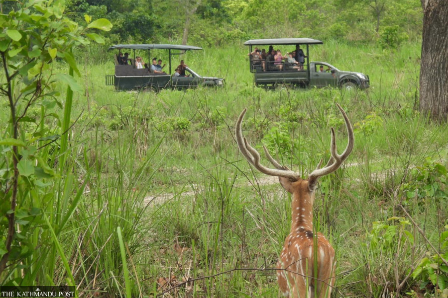 Jeep safari inside Chitwan National Park suspended for monsoon season