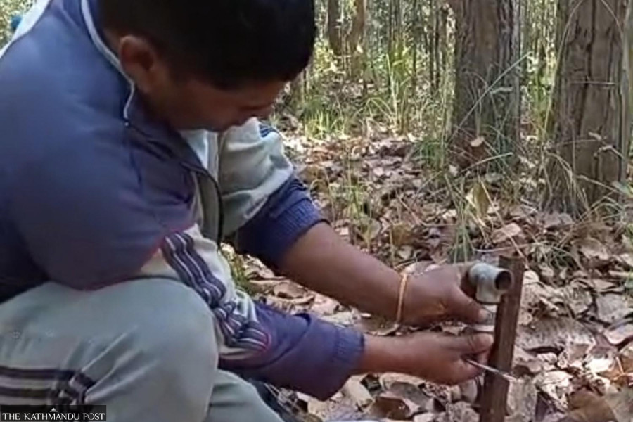  Bardiya tests synthetic scent barriers to deter big cats from settlements
