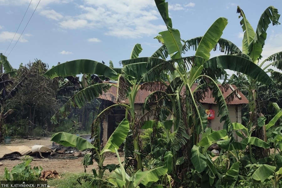 Dhurbe, the rogue elephant that followed a family for 14 years