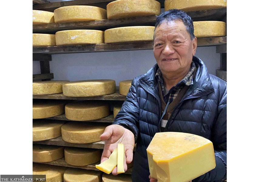 Yak cheese in crisis as Himalayan herding declines