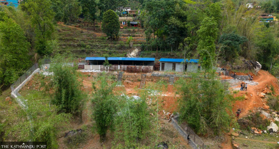 Can a ‘dog hostel’ solve Nepal’s stray dog problem? Baglung is trying