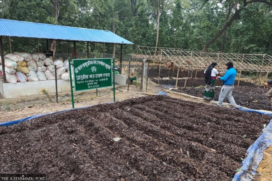 Forest litter replaces chemical fertiliser in Arghakhanchi village