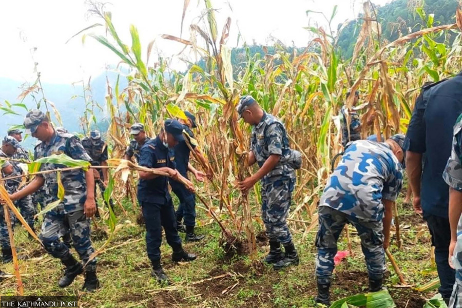 In Jajarkot, crops are ready to harvest but farmers have nowhere to store them
