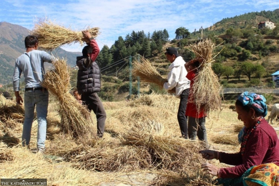 Agriculture exports from Karnali top Rs3.64 billion, but livestock imports drain Rs951 million
