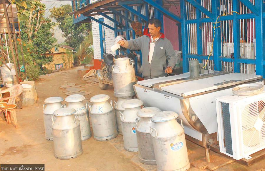 Court orders government to ensure dairy farmers are paid on time