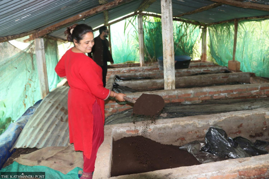 Vermicompost gains ground as farmers seek alternative to chemical fertilisers