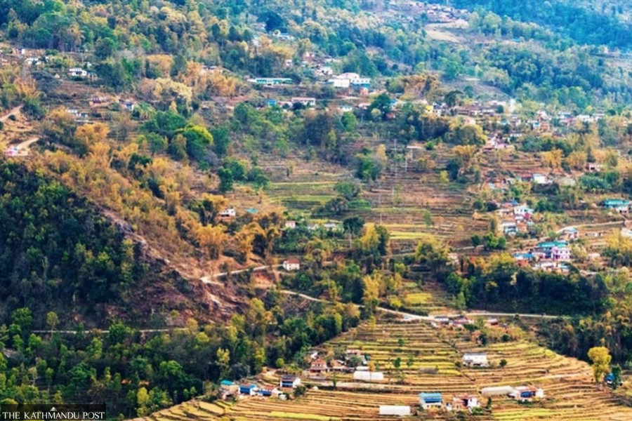 Monkey menace in Parbat disrupts farming and daily life