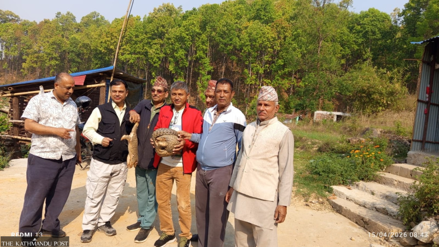 A community forest leads a quiet fight to protect endangered pangolins