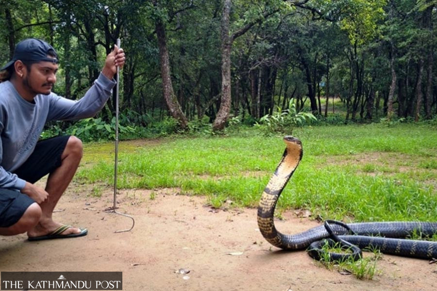 When the snake call comes, Sagar Pandey answers