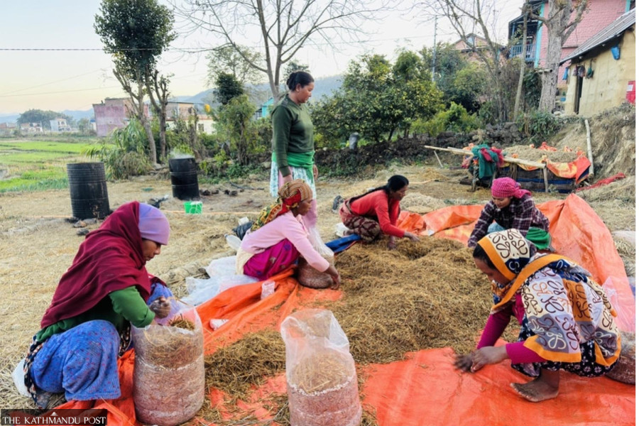 These Karnali women once relied on family support. Now they own businesses