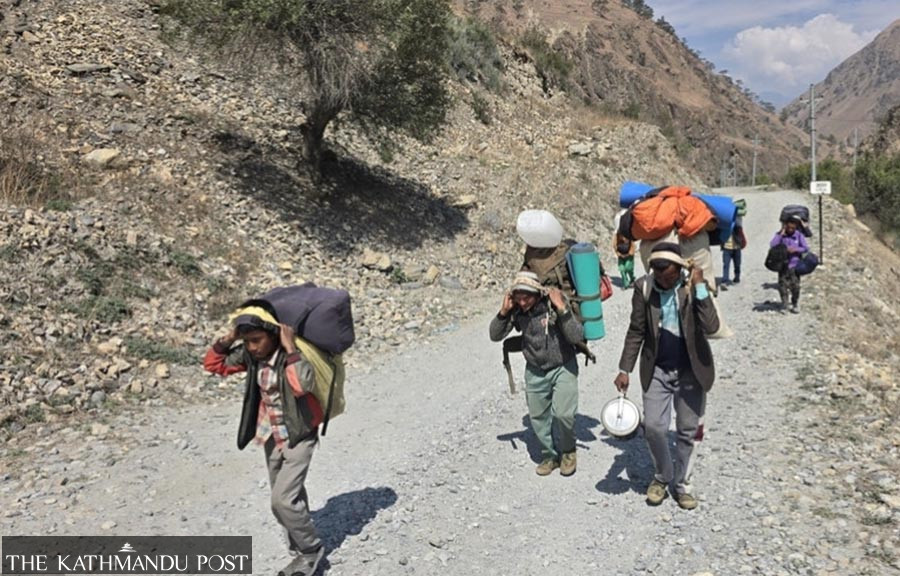 Yarsagumba collection to open in Dolpa from May 24 for one month