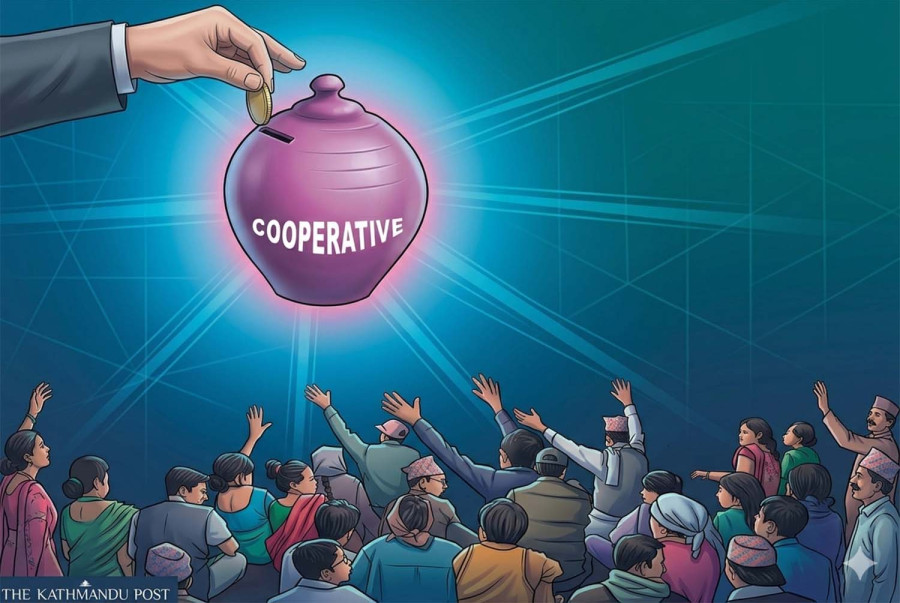Commission report blames weak regulation and political interference for cooperative crisis