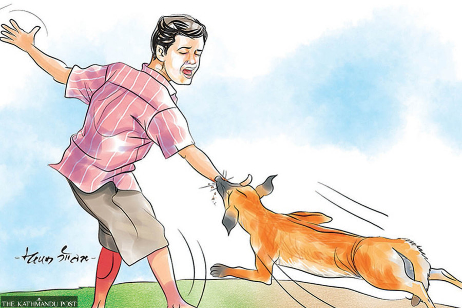 Rabies vaccine shortage hits Bagmati province