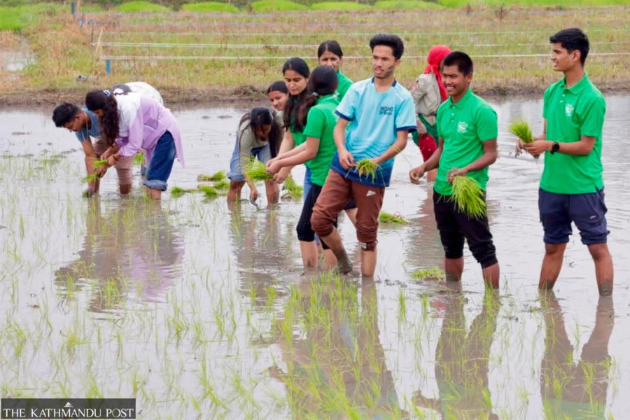 Late monsoon slows Nepal’s paddy transplantation, but experts say there’s no need to worry
