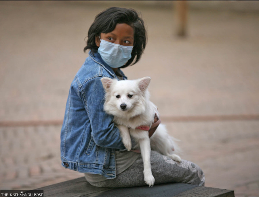 When animals are abused, reporting is rare and punishments minimal