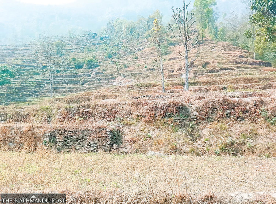 New land bank procedure aims to revive unused plots, but challenges persist