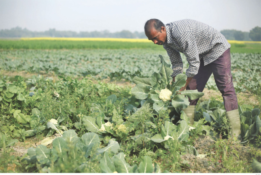 Private sector urges parties to put jobs and economy at the heart of election manifestos