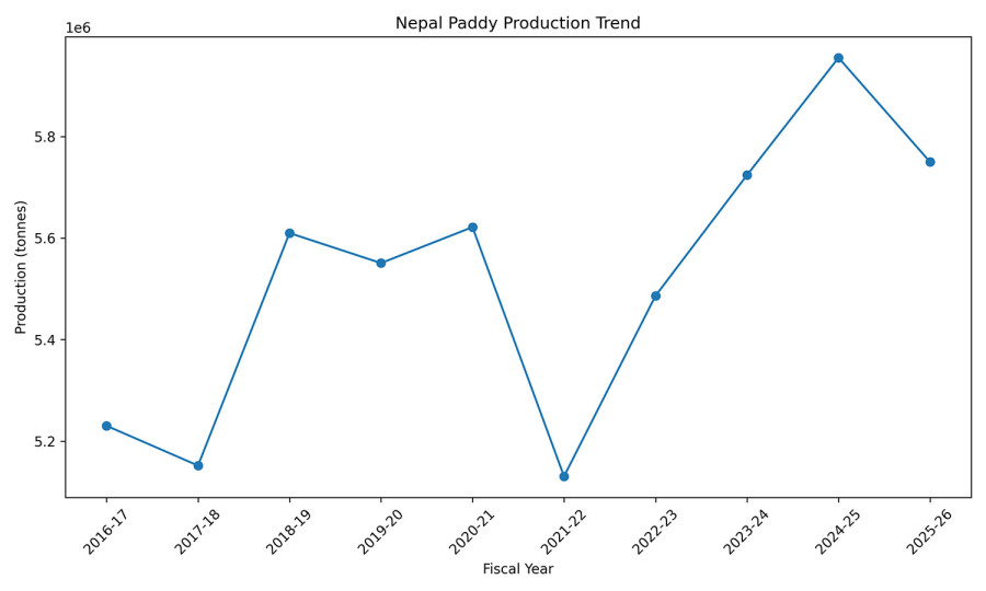 Nepal’s paddy output set to fall for first time in four years