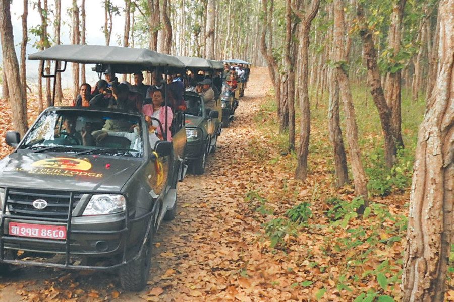 Patihani-Dudhaura safari route reopens in Chitwan buffer zone