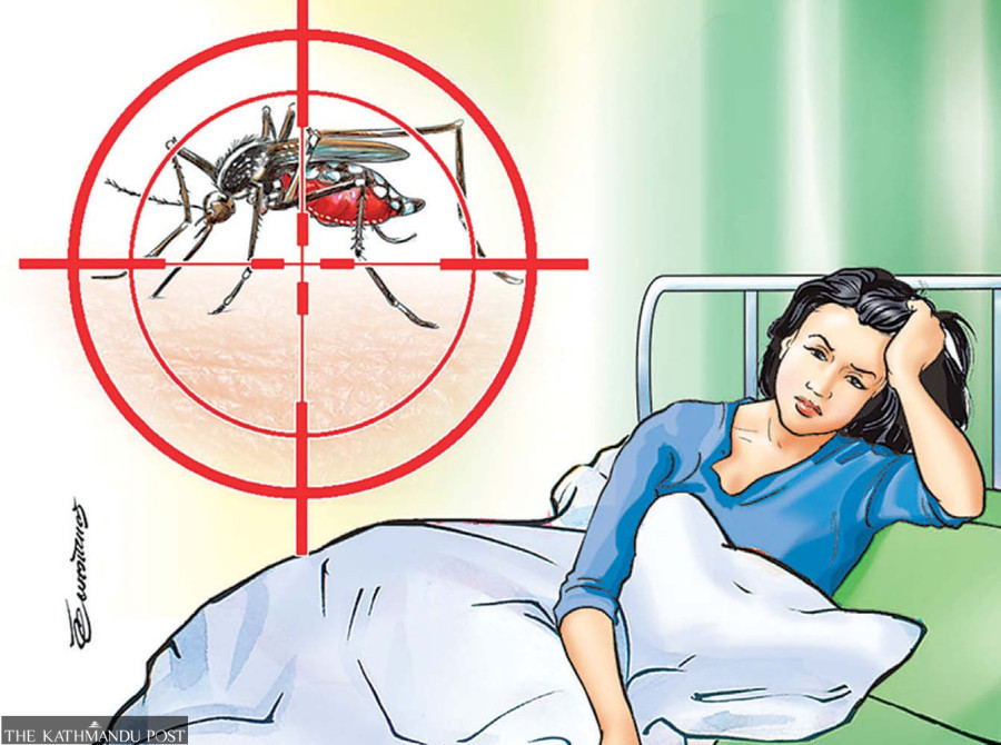 Most mountainous districts including Humla report dengue cases this year