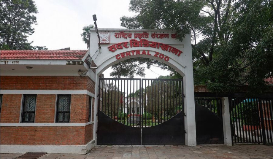  Zoo reopening uncertain as laboratory report yet to come