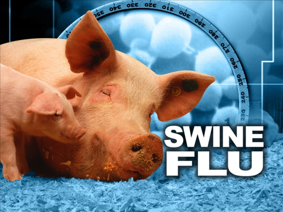 Swine flu detected in Ramechhap patients