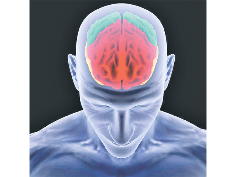 Scientists breach brain barrier to treat sick patients